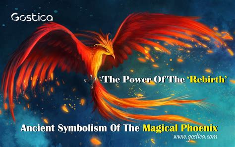 Trapped in the Spell of the Alluring Magical Phoenix